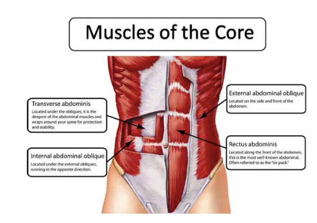 Unleashing the Power Within: Why Your Core Strength Matters